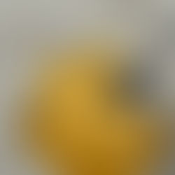 Day 12 of Healthy Summer Treats: Mandarin Orange Sorbet 🍊| #SummerOnShorts