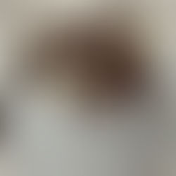 🍫☕️DIY Hot Chocolate Mix | #FallIntoShorts Day 16