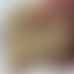 Day 5 of Healthy Summer Treats: 🍪🍨🍪 Protein Cookie Dough Ice Cream Sandwich #SummerOnShorts