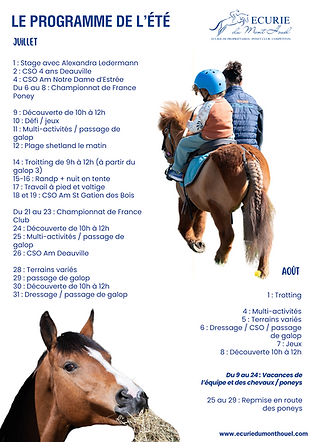 LE PROGRAMME DE L’ÉTÉ 2.png