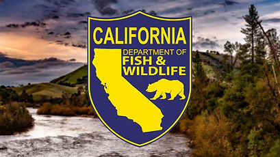 california-department-of-fish-and-wildlife-generic.jpg