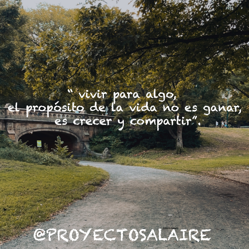 Frase diaria