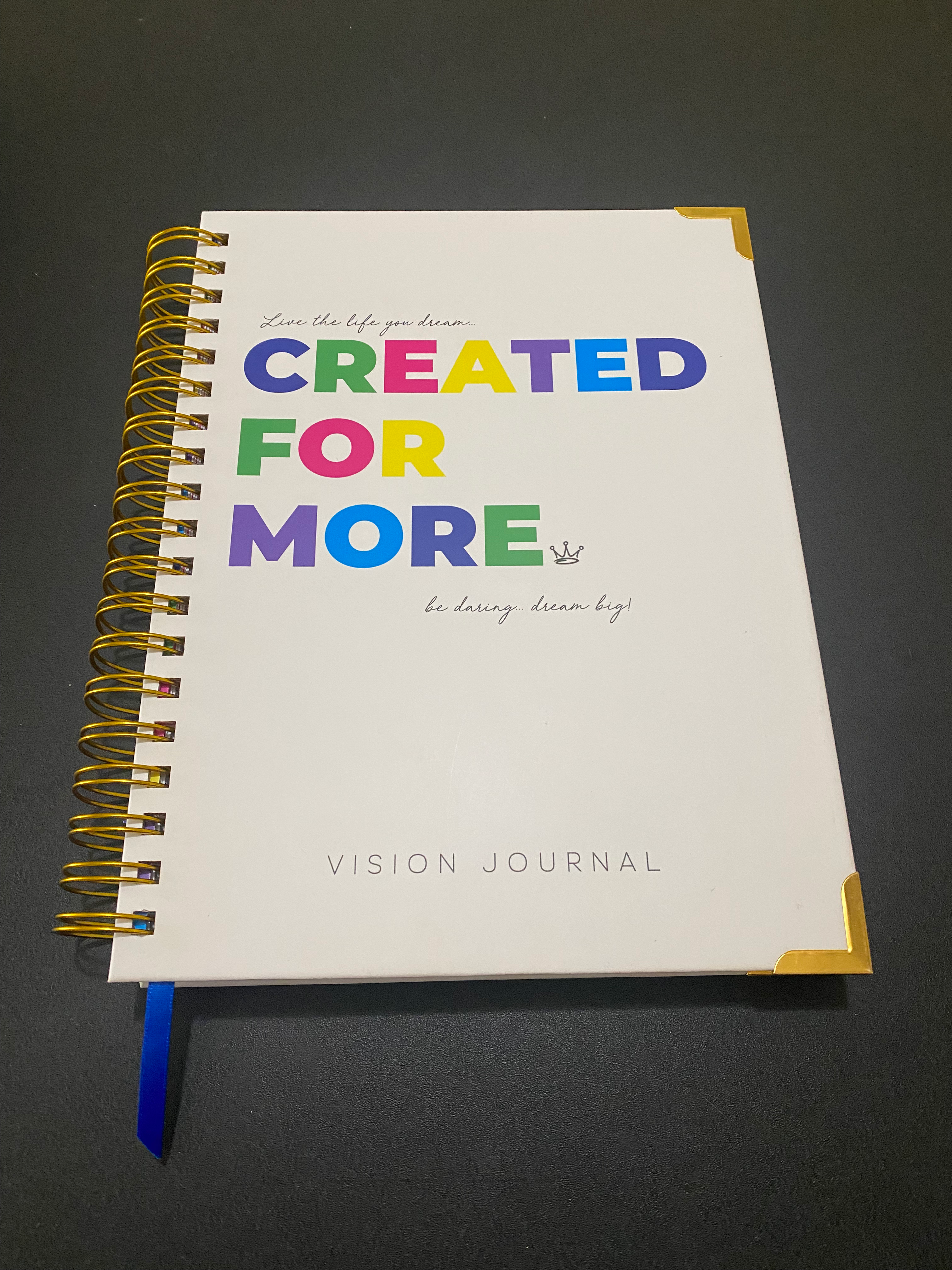 Vision Journal- (Multicolored) 