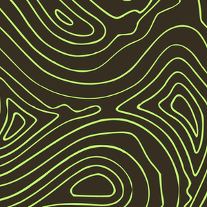 Portraits and Commissions