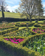 Garden is springing into life in Lord Gregory Barker's The Old Rectory Garden