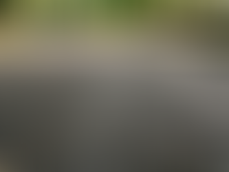 DIGA ME COM QUEM ANDAS