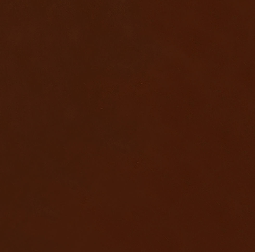 Miniature : PLATE of GALALITH  BROWN