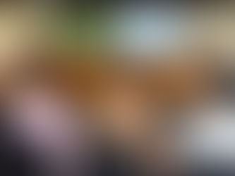 SINDICATO DOS RODOVIÁRIOS PARTICIPA DE REUNIÃO PÚBLICA SOBRE NOVA ROTEIRIZAÇÃO DE COLETA DA CODECA