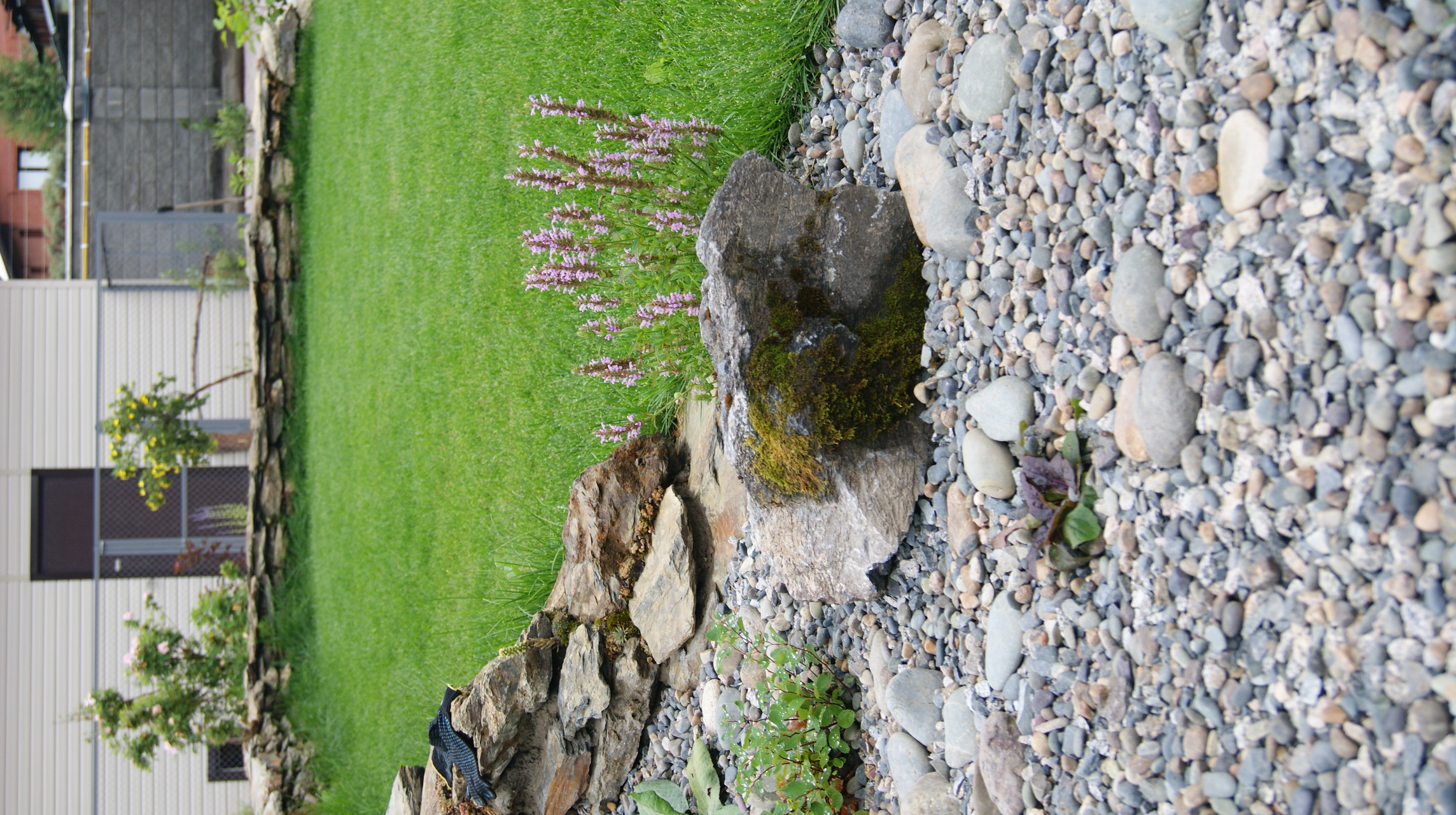 DSC01650