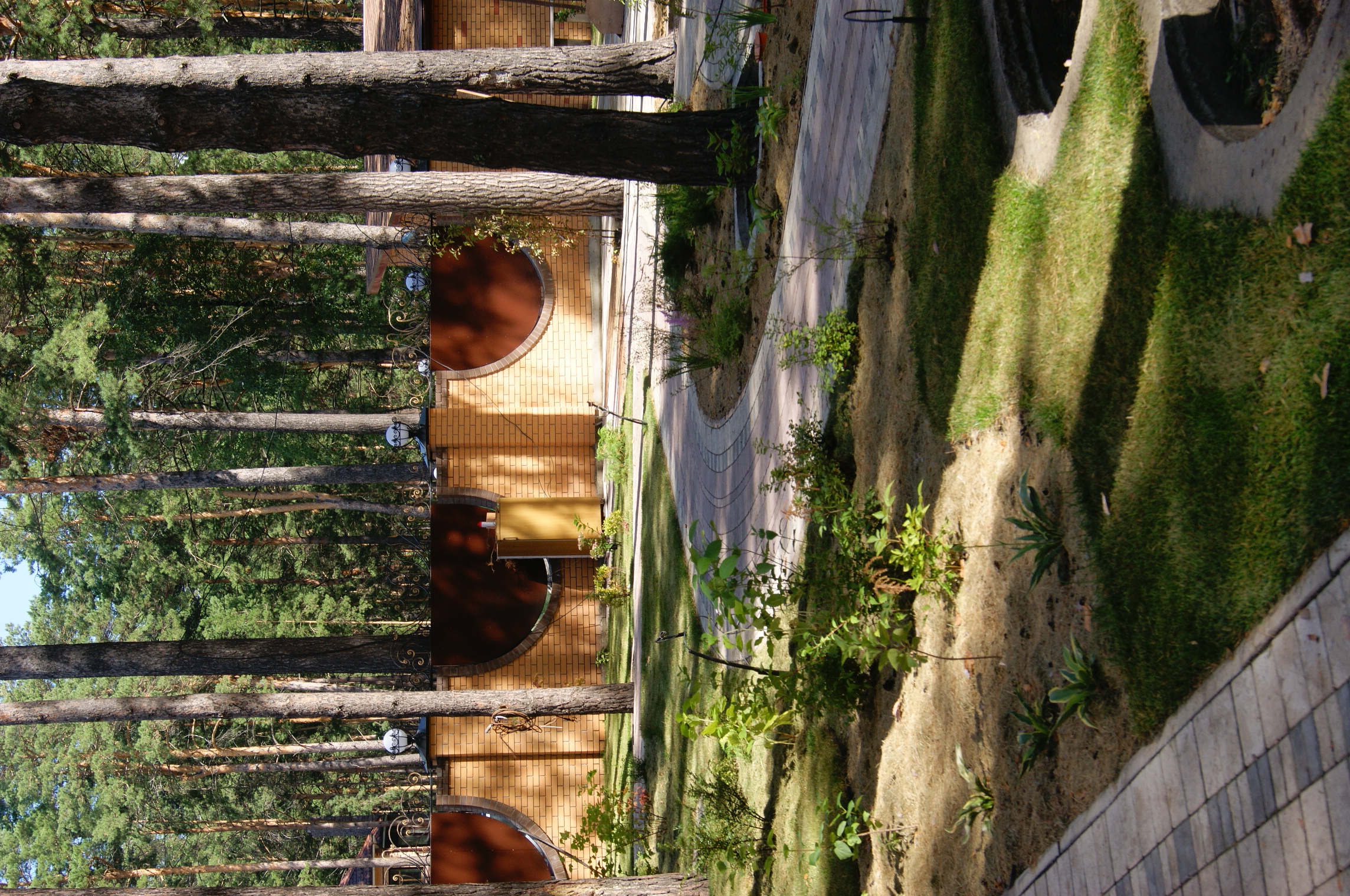 DSC04803