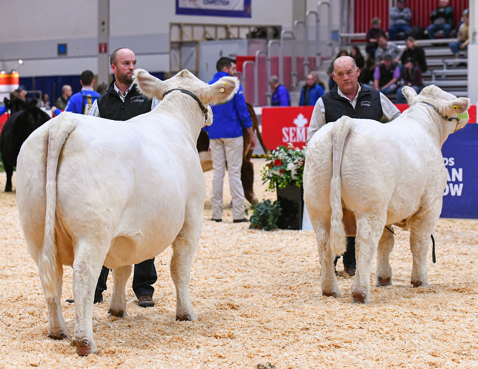 Dream Date 13D & Gunner 3G, RAWF 2019