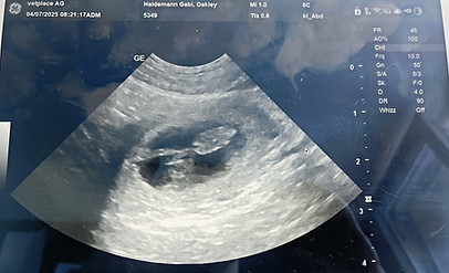 B3470CF3-3180-4B37-8A2A-EA5ED9607D83_edi