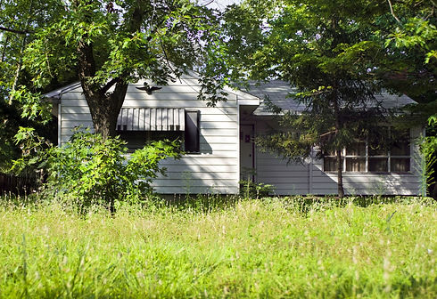 grown up house.jpg