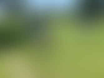 Final do Ruralzão de Campo acontece neste domingo no Campo da Cascalheira