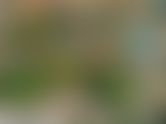 Título: Semas inicia inscrições para entrega de 1.000 Cestas Básicas Natalinas do programa “Natal Feliz”