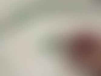 Mega-Sena, concurso 2958: apostas de Rondônia acertam quina e quase ganham prêmio milionário