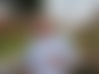 Presidente da Câmara, Dr. Celso, defende criação de novos ecopontos e mais conscientização contra lixos clandestinos