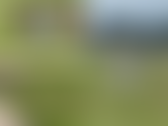 Vazamento de amônia em frigorífico de Cacoal deixa funcionários intoxicados