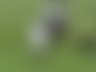 VÍDEO: Jogador fica desacordado após levar joelhada no rosto durante jogo do Rondoniense