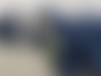 Caça a serial killer: polícia investiga envenenamento de 40 gatos e cães