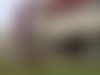 Candidata deve devolver mais de R$ 27 mil após falhar em comprovar quase 100% dos gastos com Fundão Eleitoral