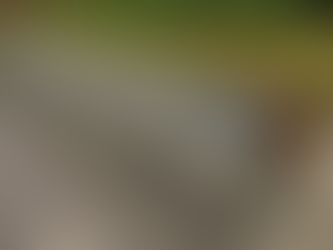 Vilhena investirá R$ 2,5 milhões em defensas metálicas para aumentar segurança em avenidas