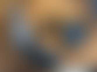 PF deflagra operação em combate ao Tráfico de Drogas em Ji-Paraná 