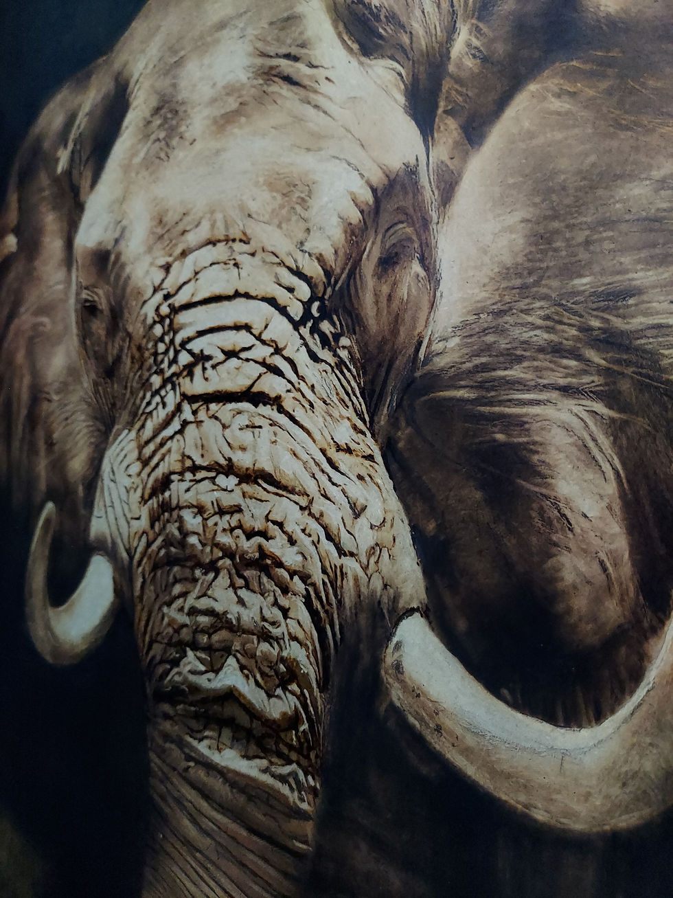 Miniatura: O Elefante da Sala - Original