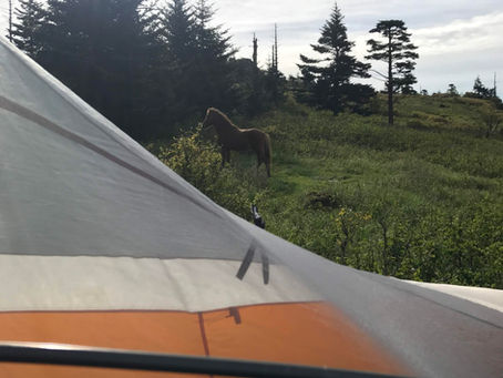 How to Plan Your First Backpacking Trip: A Beginner’s Guide