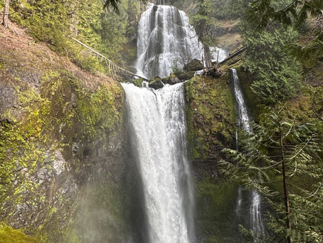 Falls Creek Falls Trail Condition Report