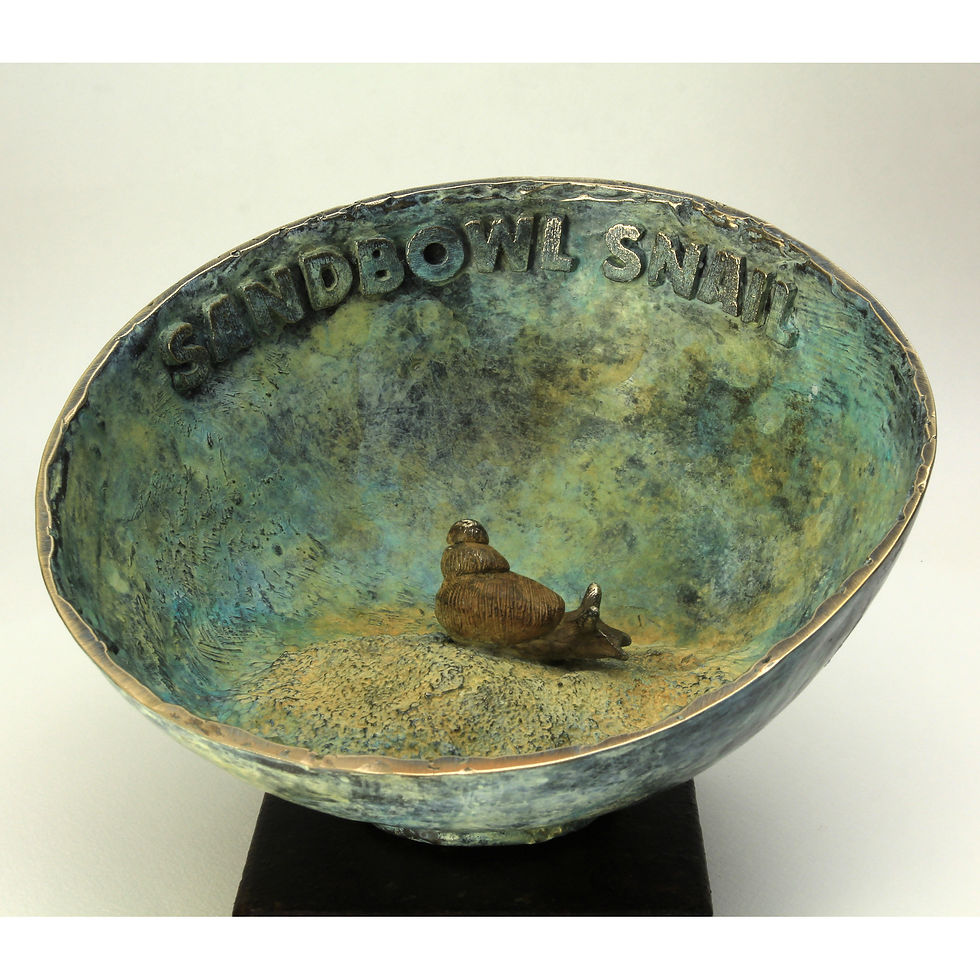 Sandbowl Snail