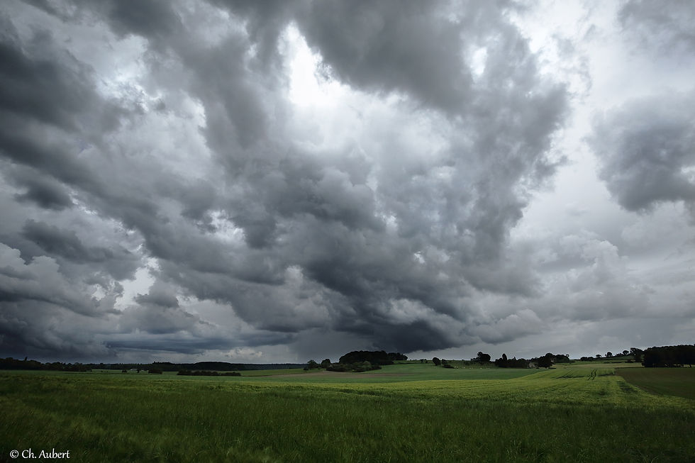139 orage