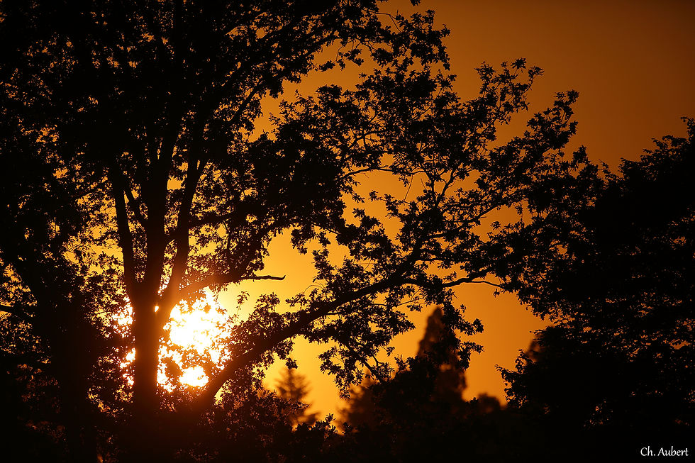 117 coucher soleil