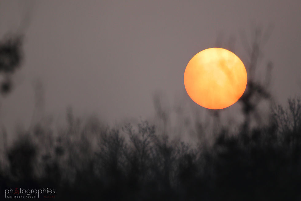 109 lever soleil
