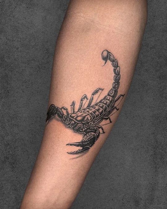 Realism tattoo of a wolf with clean line art elements by Sachin Yadav at Aliens Tattoo Studio in Chennai