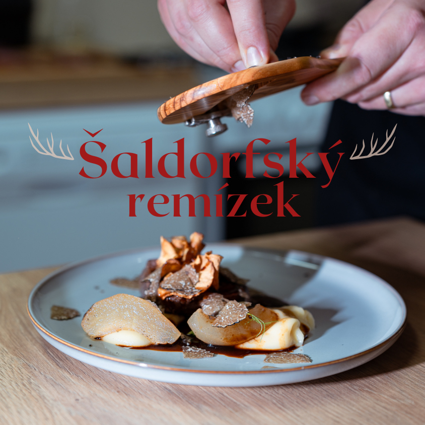 Šaldorfský remízek