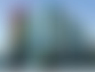 Œuvres de femmes surréalistes au Centre Pompidou