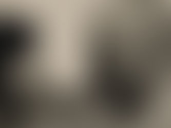 Sophie et Hans : entre l'abstraction et l'action