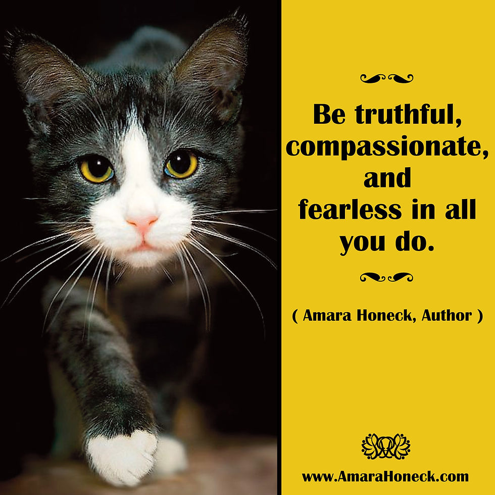 Cat Walking | Spiritual Growth Article | Amara Honeck | Tennessee Shaman Consciousness Exploration Teacher