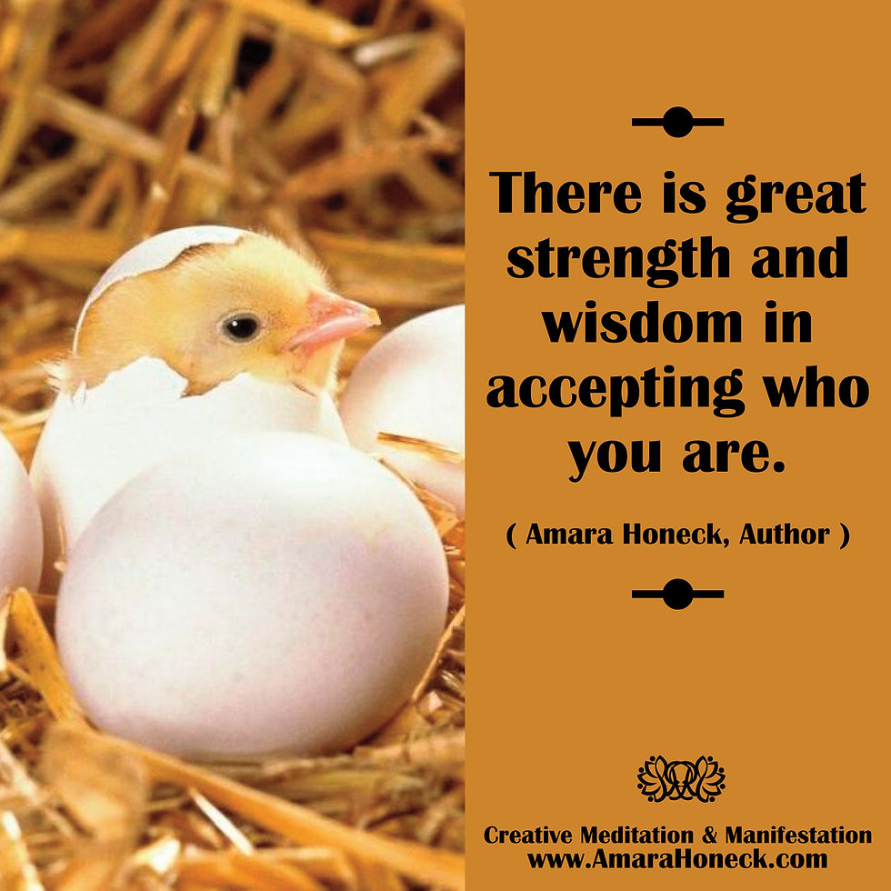 Chicken Hatching Out of Egg | Spiritual Growth Article | Amara Honeck | Tennessee Shaman Consciousness Exploration Teacher