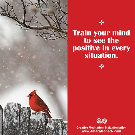 Cardinal Sitting on Snowy Fence | Spiritual Growth Article | Amara Honeck | Tennessee Shaman Consciousness Exploration Teacher