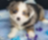20190130_103517-01.jpeg