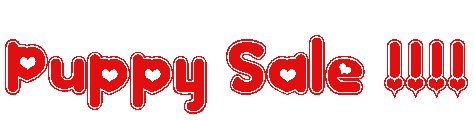 Puppy Sale Red Transparent !.gif