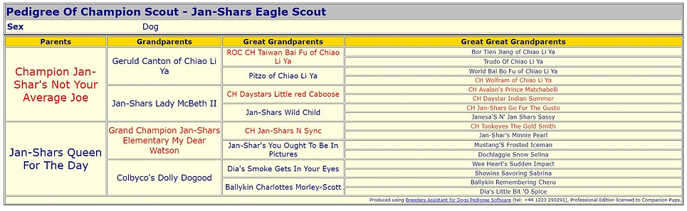 Scout 4 gen pedigree.jpeg