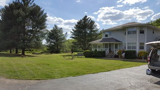 Big Front yard for kid and pug play!