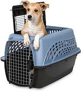 Best Puppy Crate for small dogs forSale