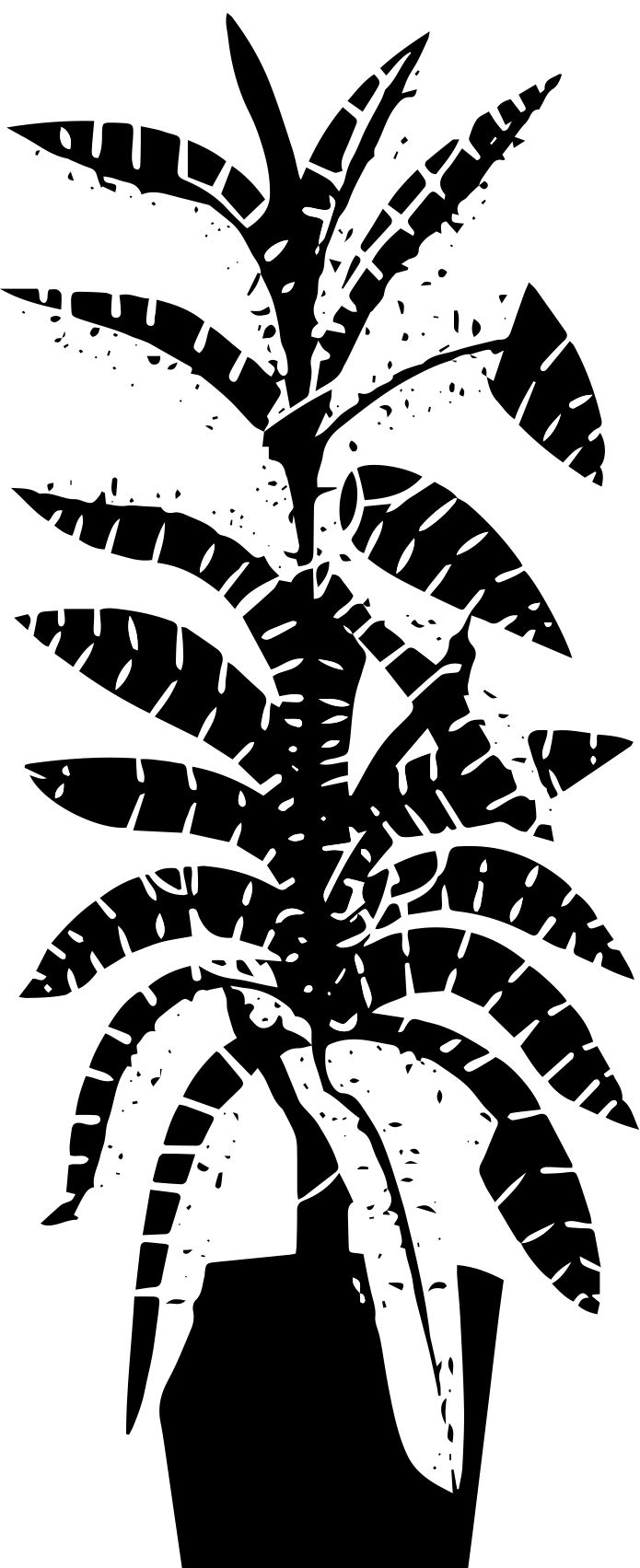 Без имени-1.jpg