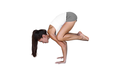 13.png