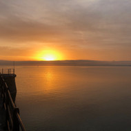 IMG_4709.jpeg