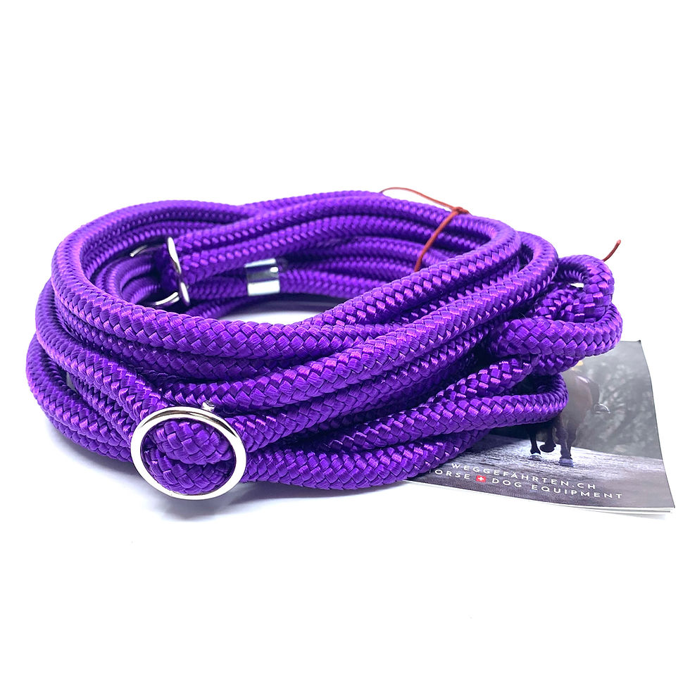 VERSANDBEREIT REITLEINE GRÖSSE M